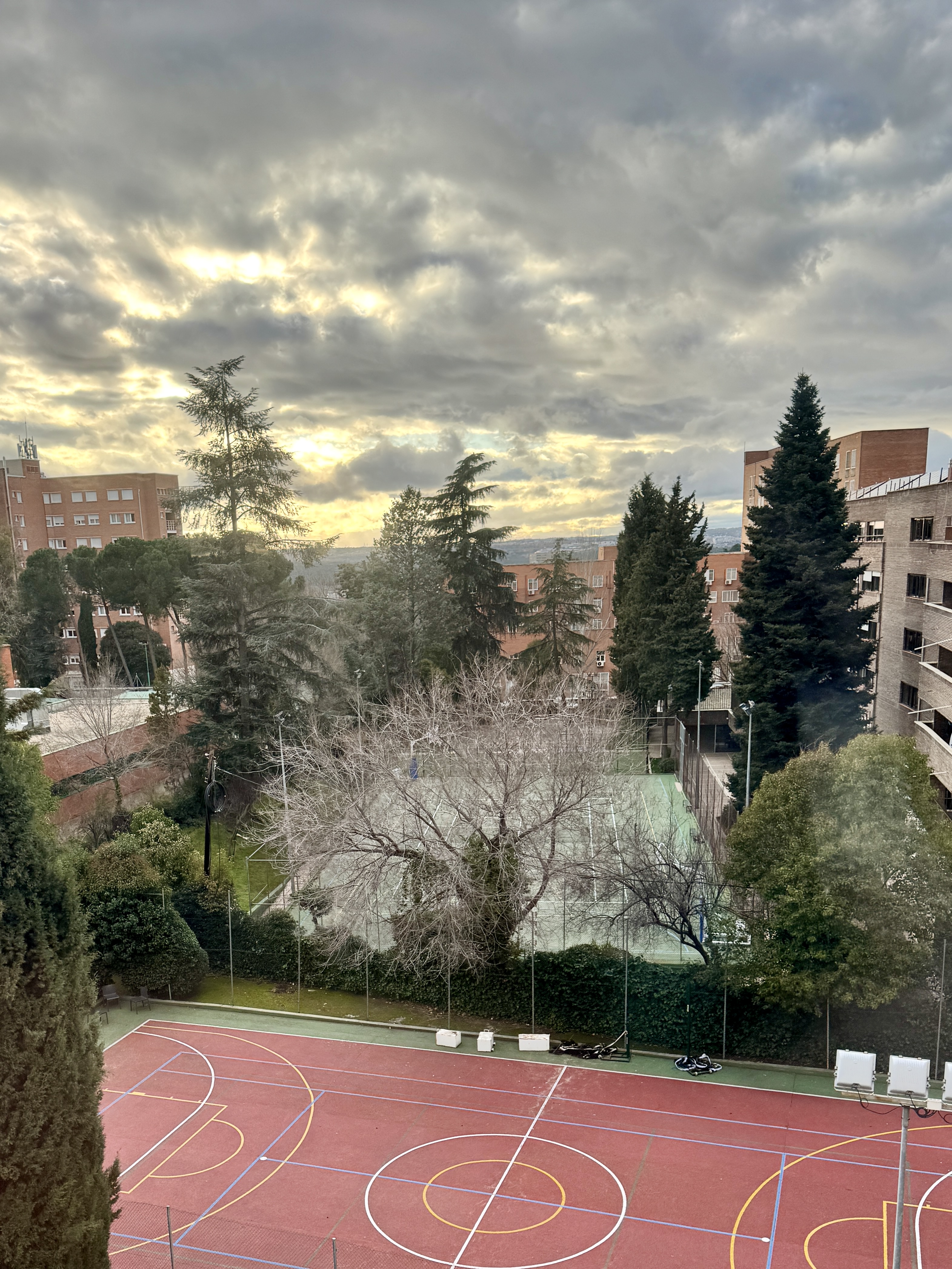 Artisanal cheeses and cured meats hanging in a traditional deli.