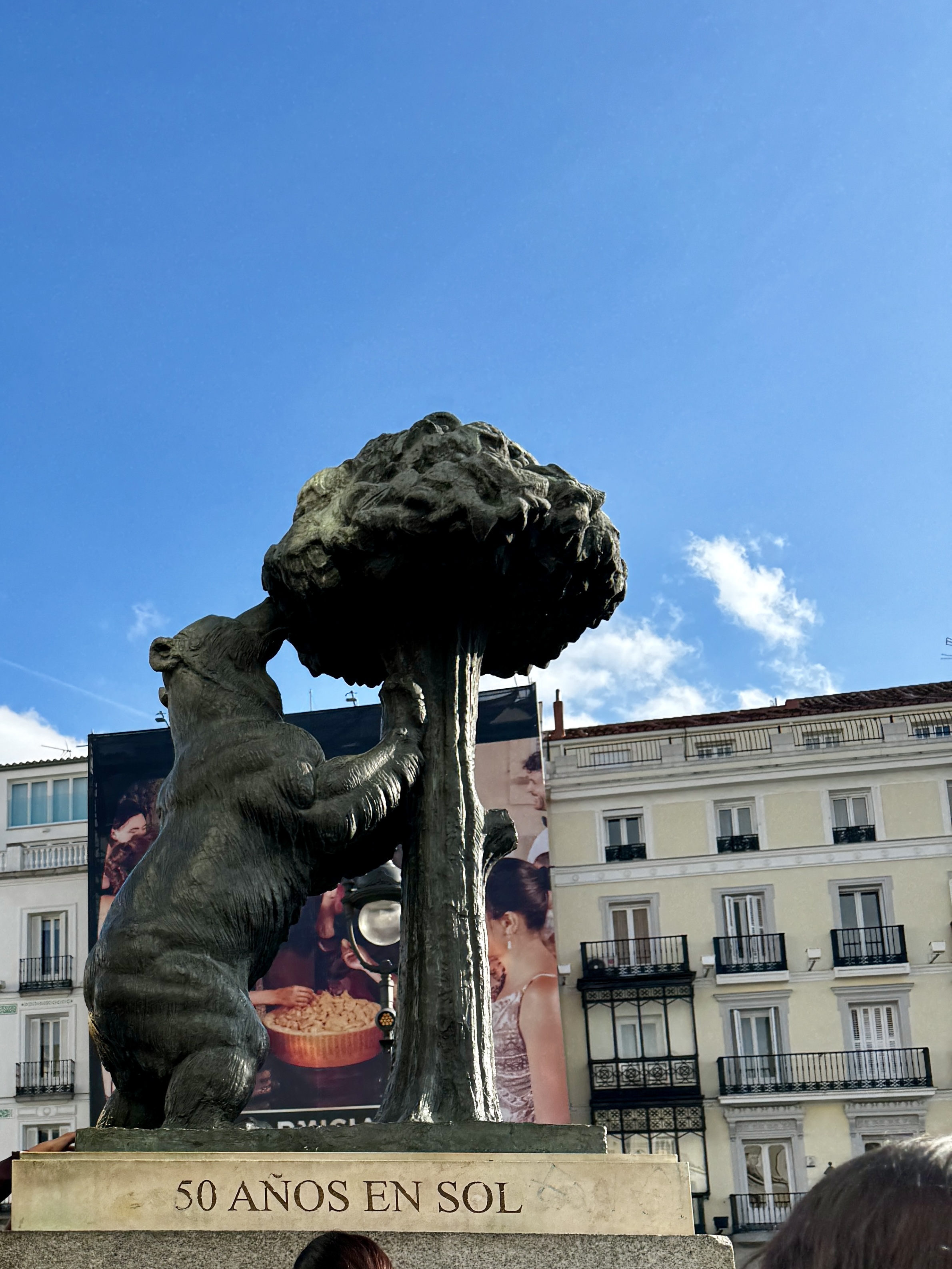 Wet cobblestones in Plaza Mayor with umbrella-carrying pedestrians.