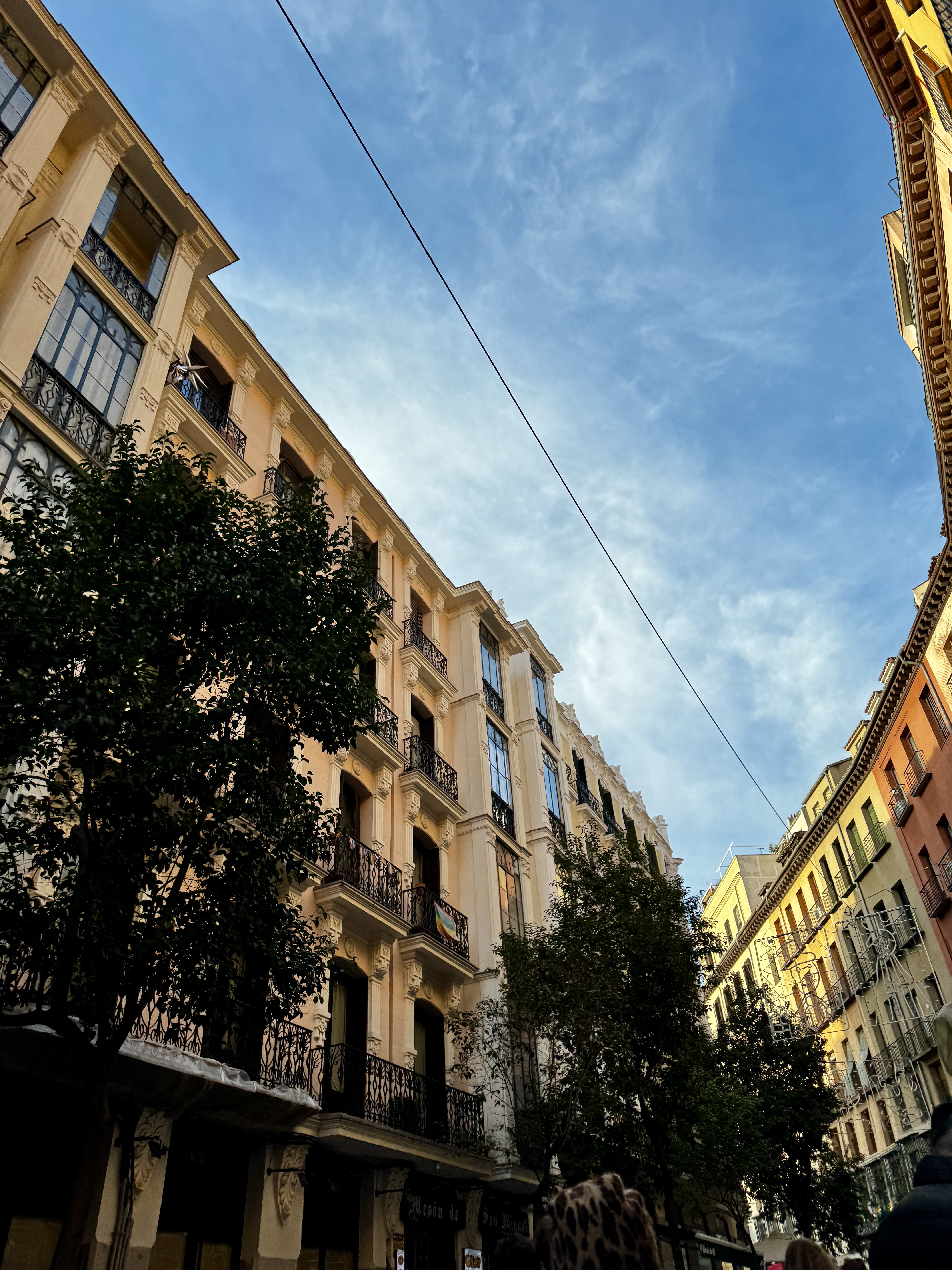 The neoclassical facade of Almudena Cathedral with twin dark spires against a dramatic cloudy sky, Madrid.